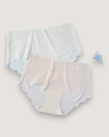 5-Pack: Seamless Cooling Micro-Mesh Briefs - Voldina
