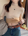Ribbed Plush Thermal Turtleneck - Voldina